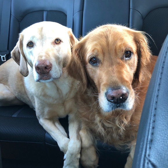 Meet the Posher! - Picture 5 of 5